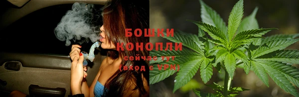 тгк Арсеньев