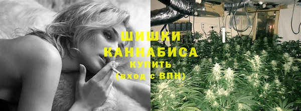 индика Белокуриха