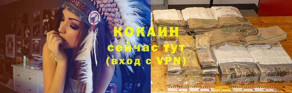 тгк Арсеньев